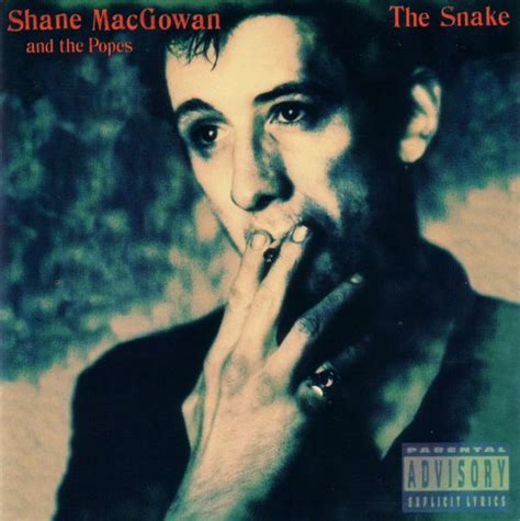 shane macgowan and the popes